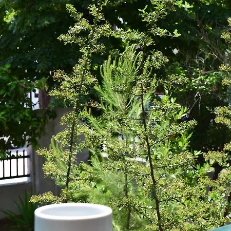 Alexander Lejlighedshotel 2*