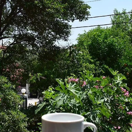 Alexander פפקוהורי