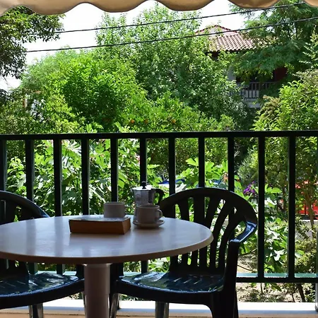 Alexander פפקוהורי